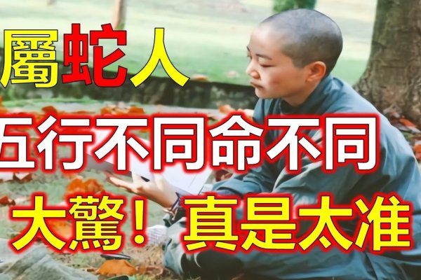 十二生肖中属蛇的人容易有阴险小人特征，在中国的传统文化和民间故事里，属蛇的人常常被描绘为狡猾、阴险的生物。他们善于掌握别人的弱点，用各种手段来操纵别人以达到自己的目的。因此，属蛇的人容易有阴险小人特征这个标题概括了这一特点最为恰当。，具体来说，，属蛇之人机智过人且聪明敏锐，但同时也可能深谙权谋之术，擅长隐藏真实意图以获取他人信任或达到个人利益的目的。他们在复杂的环境中生存时可能会显得狡猾而机敏，但也容易被误解为他们具有阴险的小人格调。这种描述符合他们对智慧与阴谋诡计的结合形象的理解。-红迪亚