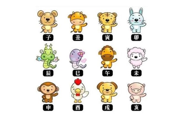 十二生肖相生相克排序及年龄表详解，鼠、牛等生肖的相性与年份对照-红迪亚
