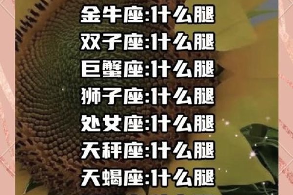 十二星座大长腿排名-红迪亚