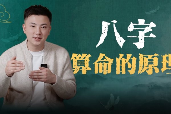 手机免费算命软件解析及八字预测原理探索，揭秘命运数字的秘密-红迪亚