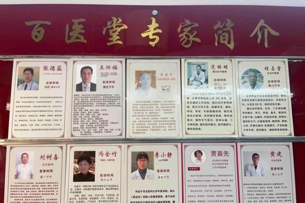 石家庄起名公司，专家精选命名艺术-红迪亚