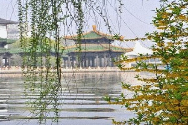 水木清华生肖虎-红迪亚