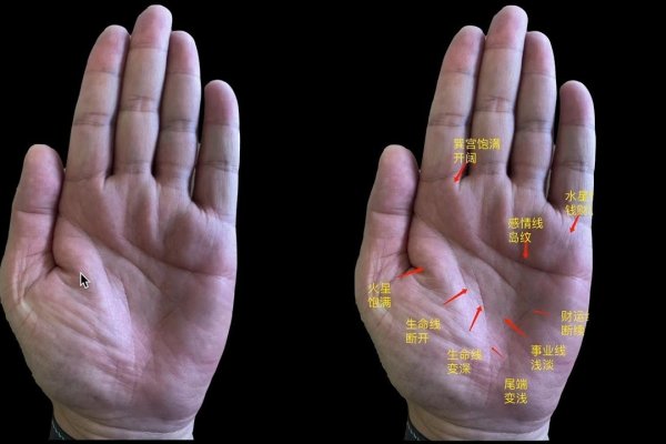 生命线断裂解析，中断与延伸的象征意义，建议根据内容综合生成，考虑到文章主要围绕生命线断开进行解读和解释，涵盖了不同情况下的预示和意义。因此，简洁明了地表达了主题和内容要点。-红迪亚