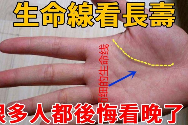 生命线短命与否需科学看待-红迪亚