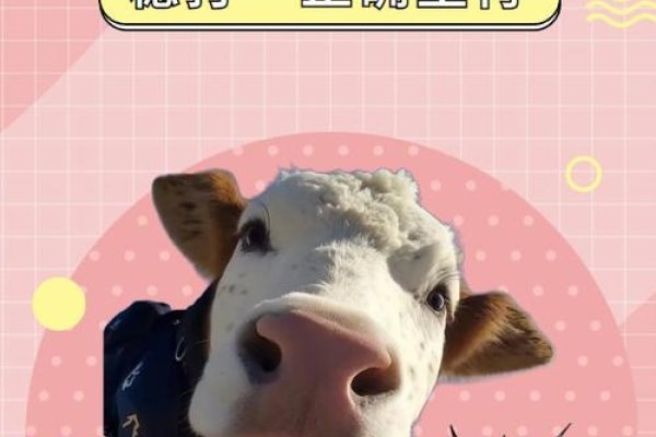 十拿九稳是金火生肖解析-红迪亚