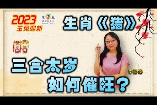 三日三省猜一生肖，猪-红迪亚