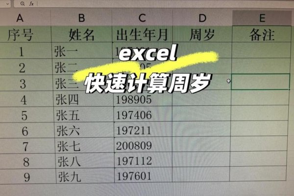 生日与年龄计算工具-红迪亚