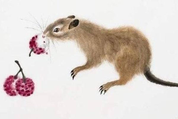 杀声四起指生肖鼠。-红迪亚