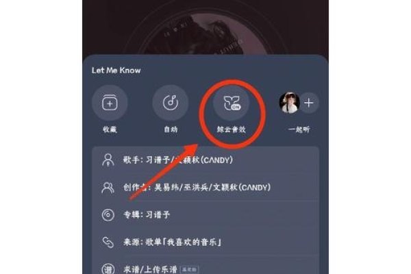山同聊天室与虚拟视频设置，详解使用指南及软件选择-红迪亚