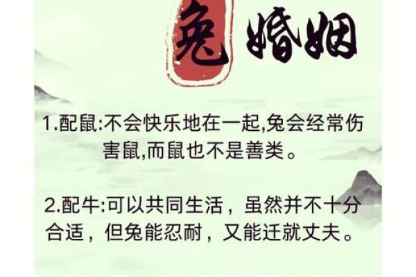 生肖爱情解析，属相与恋爱观-红迪亚