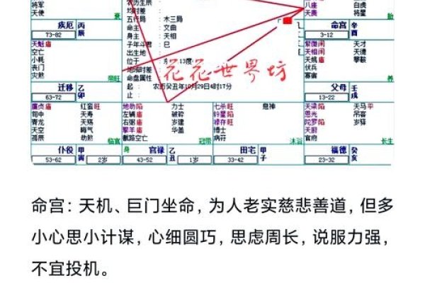 生辰八字解读人生运势，真的决定命运吗？揭秘背后的真相。-红迪亚