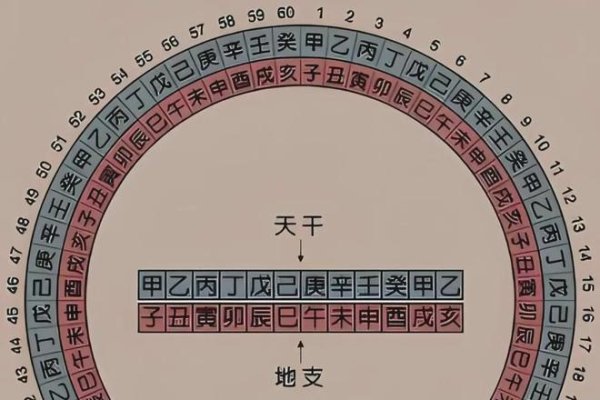 生辰八字与命运探秘-红迪亚