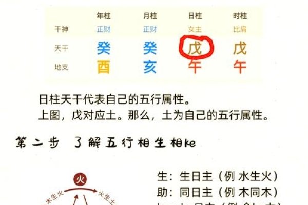 生辰八字算命详解,命局决定一切,喜用神查询与缺失五行分析,根据出生年月日时测算命运走势-红迪亚