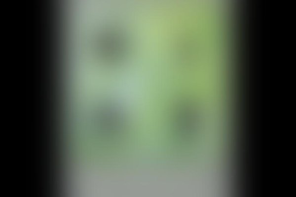 水储风絮夕阳天是什么生肖（水储风絮夕阳天是什么生肖打一数）-红迪亚