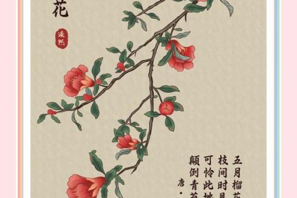 石榴花花语，成熟之美与幸福憧憬-红迪亚