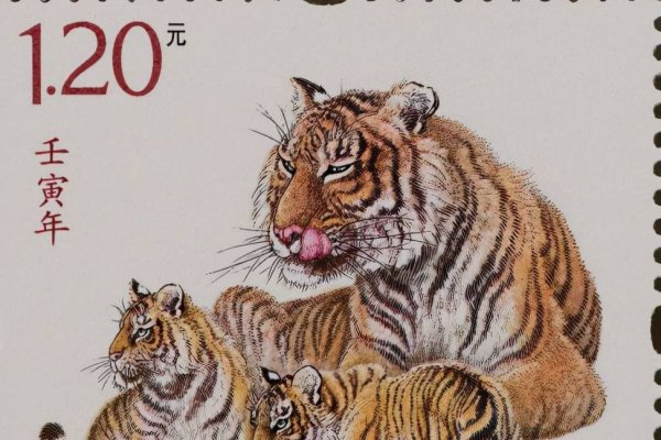 生肖虎年解析，庚寅虎年的含义与特点-红迪亚