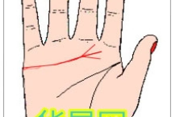 手相婚姻线图解大全，解析感情与婚运的秘密。-红迪亚