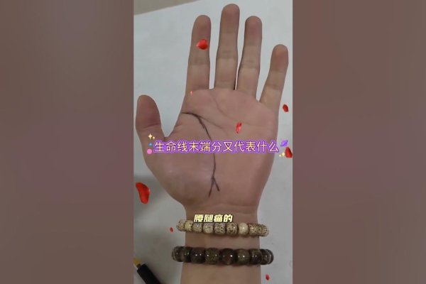 手相解读生命线,断裂与分叉预示的健康及命运挑战-红迪亚