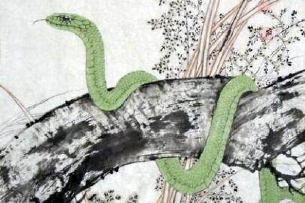 生肖解密，笑里藏刀对应蛇、虎、猴及羊，解析多个关于笑里藏刀与生肖的解读。-红迪亚