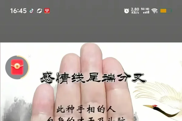 手相解析，生命线分叉预示命运波折与人生选择-红迪亚