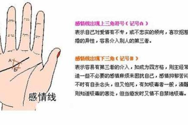 手相解析婚姻命运-红迪亚