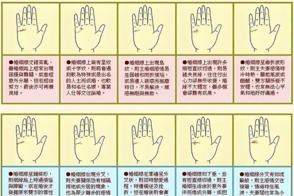 手纹解析与富贵命相，揭秘手纹中的财富密码-红迪亚