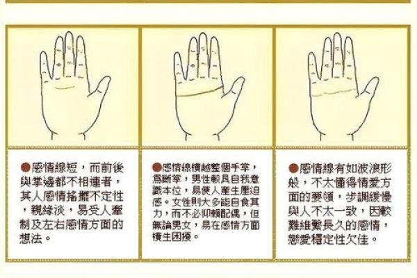 手相解析，从纹理看性格与财运特征-红迪亚