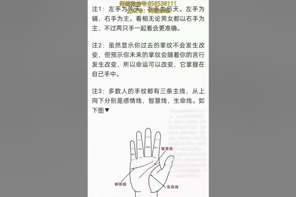 手相解析，生命线、爱情线与事业线的图解与寓意-红迪亚