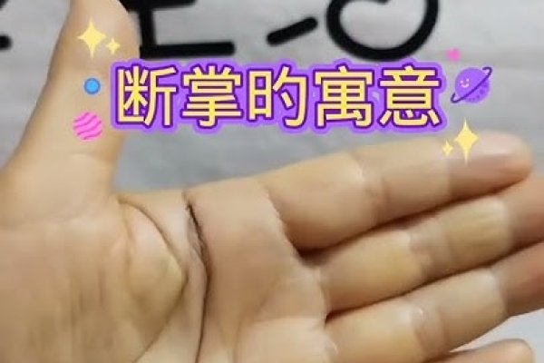 手相解析，掌纹纹路透露命运密码与子女缘分-红迪亚