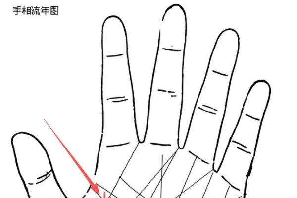 手相流年定位法，从纹路看人生轨迹-红迪亚