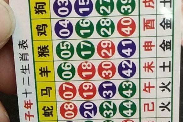 生肖年解析，揭秘虎年的五行属性与运势-红迪亚