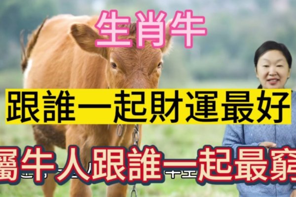 生肖牛，吃亏是福的象征。-红迪亚