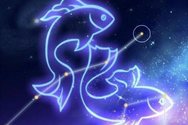 水瓶女与双鱼男，星座情感互补的奇妙旅程，建议，水瓶女的魅力对双鱼男的吸引力及性格互补关系探索。-红迪亚