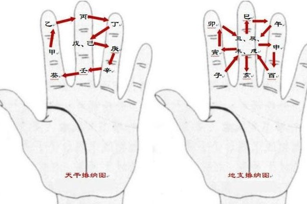 手掌算命法图解大全-红迪亚