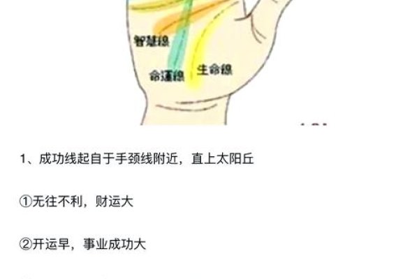 手相事业线解析-红迪亚
