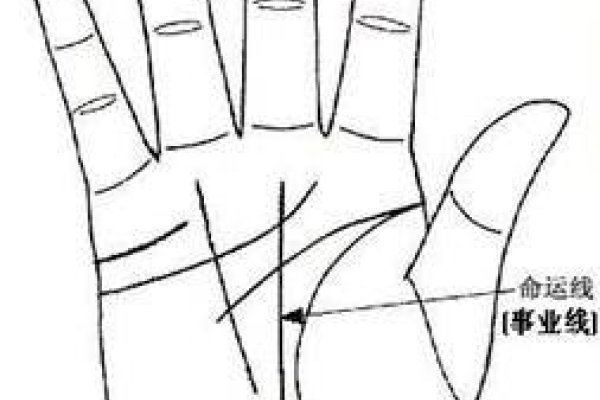手相事业线，解读职场运势的秘密。-红迪亚