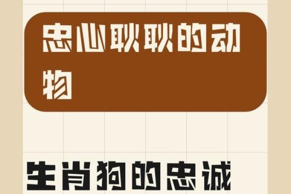 生肖狗的忠诚特质，忠心耿耿的象征-红迪亚