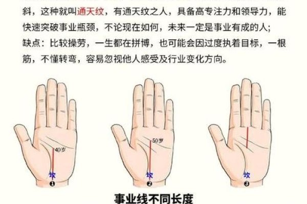 手相揭示，事业线深化、手掌凹陷等特征预示越老越富贵的手相解析-红迪亚