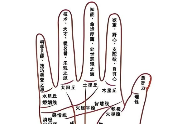 手掌痣位置与命运图解析-红迪亚
