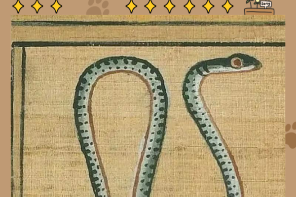 生肖蛇，神憎鬼厌的象征-红迪亚