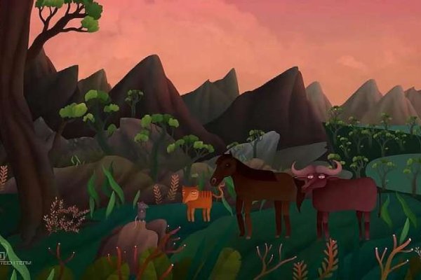 生肖揭秘,下不为例背后的故事与寓意——属虎者的性格解析及多疑善妒特质探讨。-红迪亚