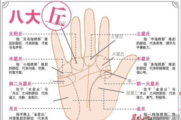 手相智慧线详解，特殊命理特征及其解读-红迪亚