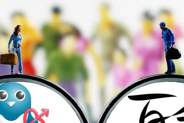 世纪佳缘婚恋交友平台-红迪亚