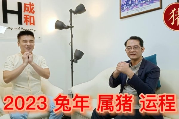 生肖猪揭秘随波逐流特性，缺乏主见，随流而动-红迪亚