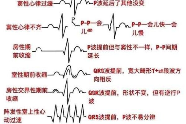 世纪佳缘心电感应真实情况分析-红迪亚