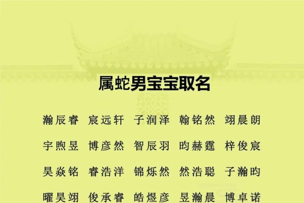 生肖蛇男孩子名字大全及解析，思系列、农村风格与五行命名法-红迪亚