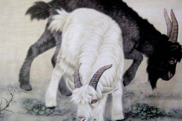 生肖羊、兔与蛇，亲密无间的象征-红迪亚