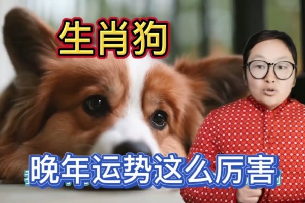 生肖狗性格解析，忠诚勇敢，意志坚定，属相相生相克解读及寡宿在月柱的影响。-红迪亚