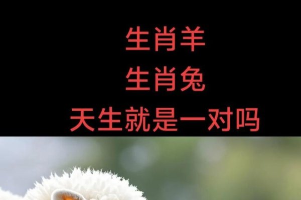 生肖姐妹花，兔与羊的象征-红迪亚