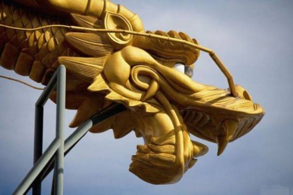 生肖揭秘，龙与鼠的一步登天传奇-红迪亚